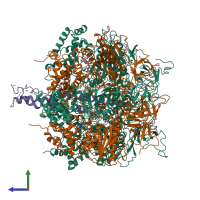 Hetero heptameric assembly 1 of PDB entry 1mab coloured by chemically distinct molecules, side view.