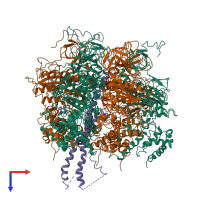 Hetero heptameric assembly 1 of PDB entry 1mab coloured by chemically distinct molecules, top view.