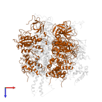 ATP synthase subunit beta, mitochondrial in PDB entry 1mab, assembly 1, top view.