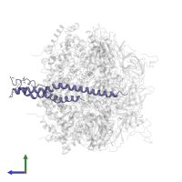 ATP synthase subunit gamma, mitochondrial in PDB entry 1mab, assembly 1, side view.