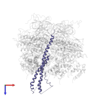 ATP synthase subunit gamma, mitochondrial in PDB entry 1mab, assembly 1, top view.