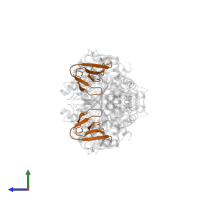 Fasciculin-2 in PDB entry 1mah, assembly 1, side view.