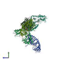 PDB entry 1maw coloured by chain, side view.