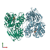 PDB entry 1mb9 coloured by chain, front view.