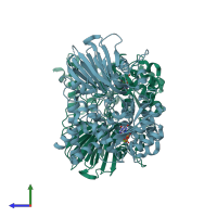 PDB entry 1mb9 coloured by chain, side view.