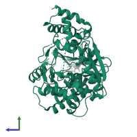 Carboxyethyl-arginine beta-lactam-synthase in PDB entry 1mb9, assembly 1, side view.