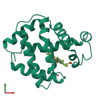 PDB entry 1mba coloured by chain, front view.