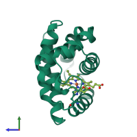 PDB entry 1mba coloured by chain, side view.