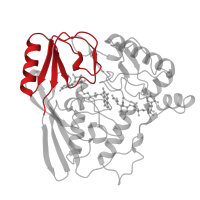 The deposited structure of PDB entry 1mbb contains 1 copy of CATH domain 3.30.43.10 (Uridine Diphospho-n-acetylenolpyruvylglucosamine Reductase; domain 2) in UDP-N-acetylenolpyruvoylglucosamine reductase. Showing 1 copy in chain A.