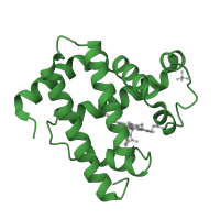 The deposited structure of PDB entry 1mbd contains 1 copy of SCOP domain 46463 (Globins) in Myoglobin. Showing 1 copy in chain A.