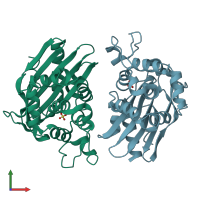 PDB entry 1mbl coloured by chain, front view.