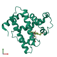 PDB entry 1mbn coloured by chain, front view.