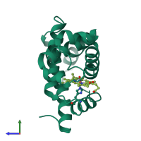 PDB entry 1mbn coloured by chain, side view.