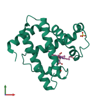 PDB entry 1mbo coloured by chain, front view.