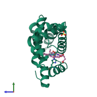 PDB entry 1mbo coloured by chain, side view.