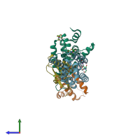 PDB entry 1mbu coloured by chain, side view.