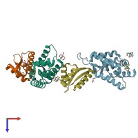 PDB entry 1mbu coloured by chain, top view.