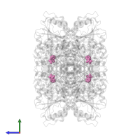 (R)-MANDELIC ACID in PDB entry 1mcz, assembly 1, side view.