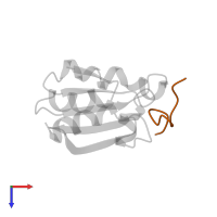 Nuclear factor NF-kappa-B p50 subunit in PDB entry 1mdi, assembly 1, top view.