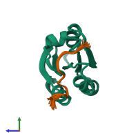 PDB entry 1mdj coloured by chain, ensemble of 30 models, side view.