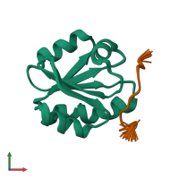 PDB entry 1mdk coloured by chain, ensemble of 30 models, front view.