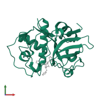 Cruzipain in PDB entry 1me4, assembly 1, front view.