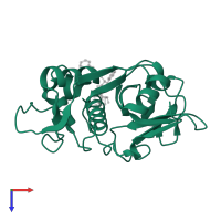 Cruzipain in PDB entry 1me4, assembly 1, top view.