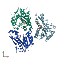 PDB entry 1men coloured by chain, front view.