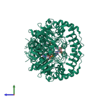 Homo dimeric assembly 1 of PDB entry 1mf0 coloured by chemically distinct molecules, side view.