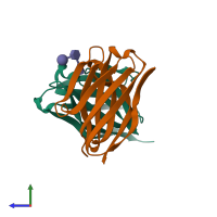 PDB entry 1mfa coloured by chain, side view.