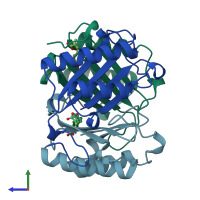 PDB entry 1mfi coloured by chain, side view.