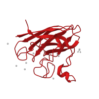 The deposited structure of PDB entry 1mfm contains 1 copy of CATH domain 2.60.40.200 (Immunoglobulin-like) in Superoxide dismutase [Cu-Zn]. Showing 1 copy in chain A.