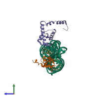 PDB entry 1mfq coloured by chain, side view.