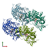PDB entry 1mg0 coloured by chain, front view.