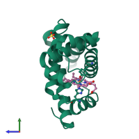 PDB entry 1mgn coloured by chain, side view.
