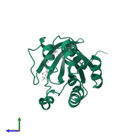 Ras-related C3 botulinum toxin substrate 1 in PDB entry 1mh1, assembly 1, side view.