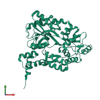 Maltose/maltodextrin-binding periplasmic protein in PDB entry 1mh3, assembly 1, front view.