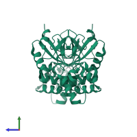 5'(3')-deoxyribonucleotidase, mitochondrial in PDB entry 1mh9, assembly 1, side view.