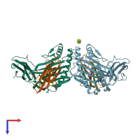 PDB entry 1mhc coloured by chain, top view.