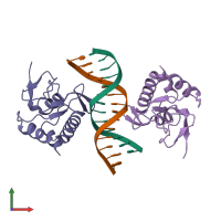 PDB entry 1mhd coloured by chain, front view.