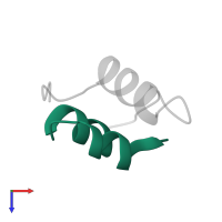 Insulin A chain in PDB entry 1mhj, assembly 1, top view.