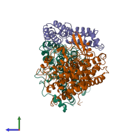 PDB entry 1mhy coloured by chain, side view.