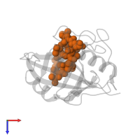 CYCLOSPORIN A in PDB entry 1mik, assembly 1, top view.