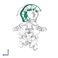 CONSENSUS OPERATOR DUPLEX in PDB entry 1mjp, assembly 1, side view.