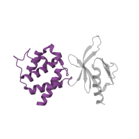 The deposited structure of PDB entry 1mk7 contains 2 copies of SCOP domain 47032 (Second domain of FERM) in Talin-1. Showing 1 copy in chain B.