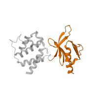 The deposited structure of PDB entry 1mk7 contains 2 copies of SCOP domain 50776 (Third domain of FERM) in Talin-1. Showing 1 copy in chain B.