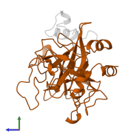 Thrombin heavy chain in PDB entry 1mkw, assembly 1, side view.