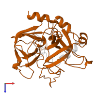Thrombin heavy chain in PDB entry 1mkw, assembly 1, top view.