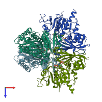 PDB entry 1ml3 coloured by chain, top view.