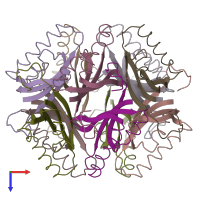 PDB entry 1mli coloured by chain, top view.